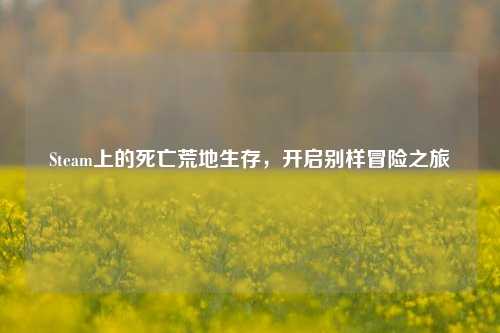 Steam上的死亡荒地生存，开启别样冒险之旅