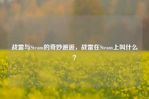 战雷与Steam的奇妙邂逅，战雷在Steam上叫什么？