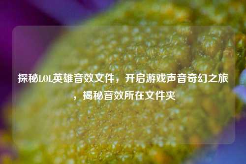 探秘LOL英雄音效文件,开启游戏声音奇幻之旅,揭秘音效所在文件夹