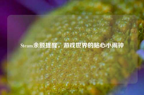 Steam余额提醒，游戏世界的贴心小闹钟