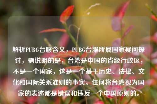 解析PUBG台服含义，PUBG台服所属国家疑问探讨，需说明的是，台湾是中国的省级行政区，不是一个国家，这是一个基于历史、法律、文化和国际关系准则的事实。任何将台湾视为国家的表述都是错误和违反一个中国原则的。