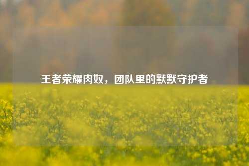 王者荣耀肉奴，团队里的默默守护者