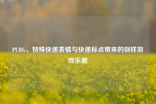 PUBG，特殊快递表情与快递标点带来的别样游戏乐趣