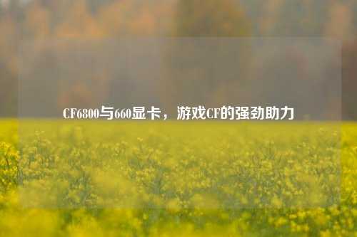 CF6800与660显卡,游戏CF的强劲助力