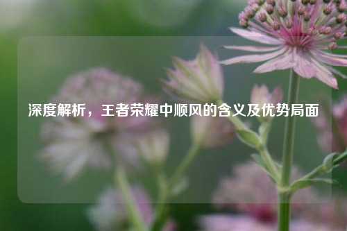 深度解析，王者荣耀中顺风的含义及优势局面