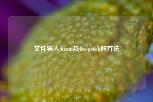 文件导入Steam及DeepSeek的方法
