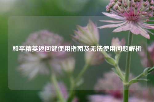和平精英返回键使用指南及无法使用问题解析
