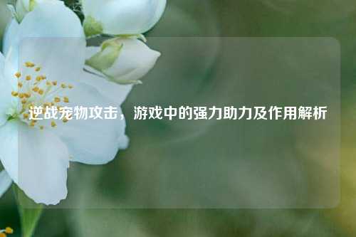 逆战宠物攻击，游戏中的强力助力及作用解析