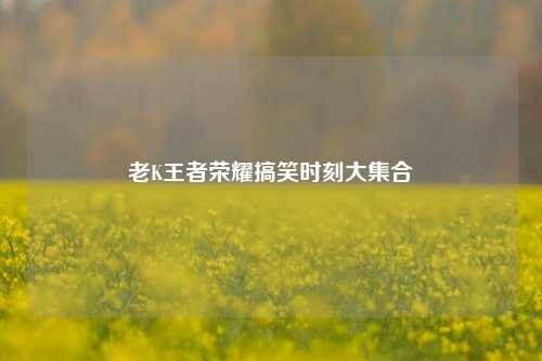 老K王者荣耀搞笑时刻大集合