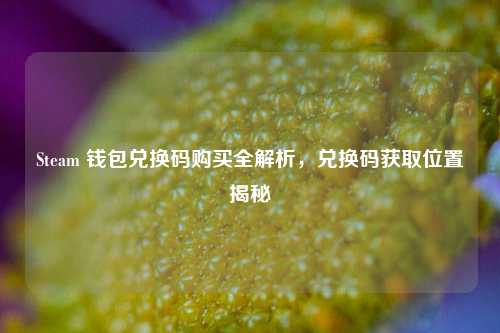Steam 钱包兑换码购买全解析，兑换码获取位置揭秘