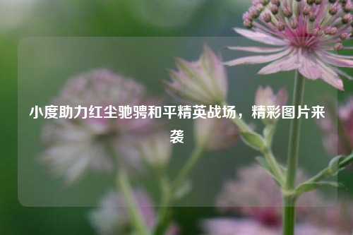 小度助力红尘驰骋和平精英战场，精彩图片来袭