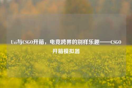 Uzi与CSGO开箱,电竞跨界的别样乐趣——CSGO开箱模拟器