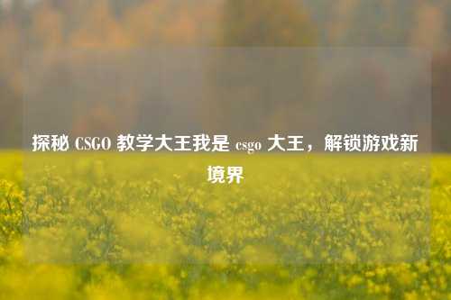 探秘 CSGO 教学大王我是 csgo 大王，解锁游戏新境界