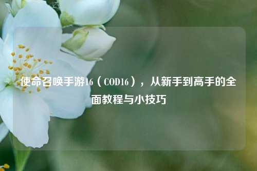 使命召唤手游16（COD16），从新手到高手的全面教程与小技巧