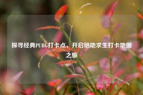 探寻经典PUBG打卡点，开启绝地求生打卡地图之旅