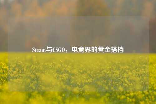 Steam与CSGO，电竞界的黄金搭档