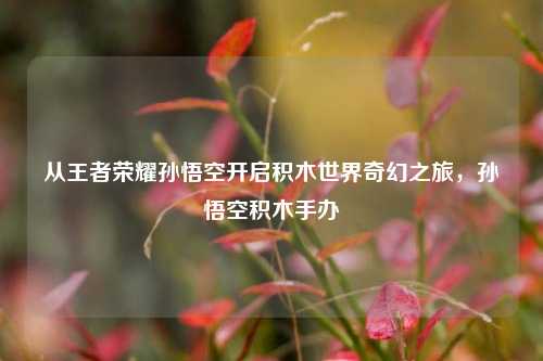 从王者荣耀孙悟空开启积木世界奇幻之旅，孙悟空积木手办