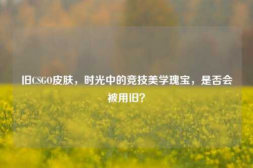 旧CSGO皮肤,时光中的竞技美学瑰宝,是否会被用旧?