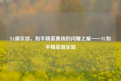 TA俱乐部,和平精英赛场的闪耀之星——TC和平精英俱乐部
