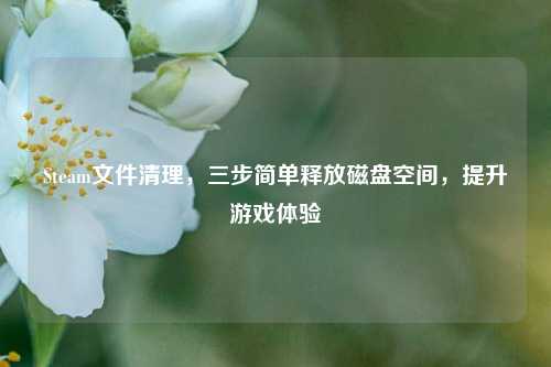 Steam文件清理，三步简单释放磁盘空间，提升游戏体验
