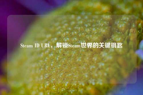 Steam ID URL,解锁Steam世界的关键钥匙