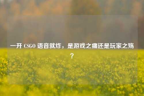 一开 CSGO 语音就炸,是游戏之痛还是玩家之殇?