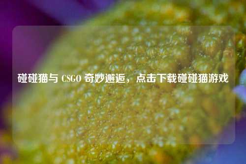 碰碰猫与 CSGO 奇妙邂逅，点击下载碰碰猫游戏