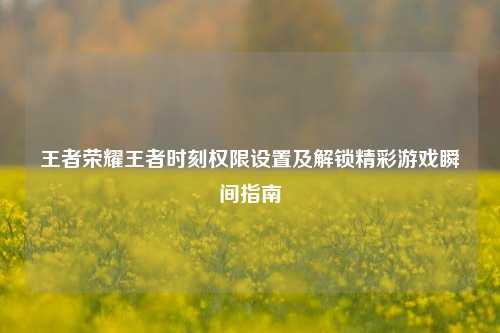 王者荣耀王者时刻权限设置及解锁精彩游戏瞬间指南