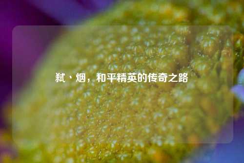 弑丶烟，和平精英的传奇之路