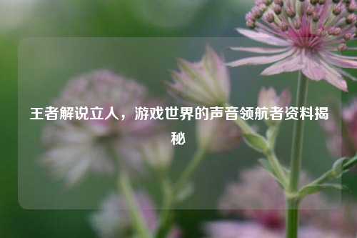 王者解说立人，游戏世界的声音领航者资料揭秘