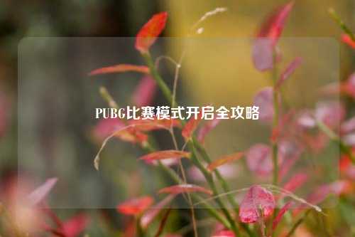 PUBG比赛模式开启全攻略