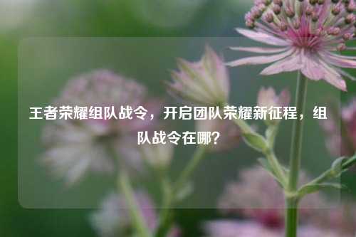 王者荣耀组队战令，开启团队荣耀新征程，组队战令在哪？
