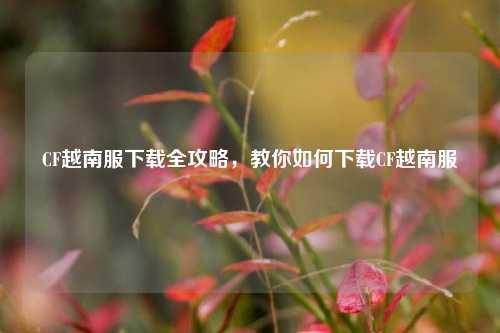 CF越南服下载全攻略，教你如何下载CF越南服