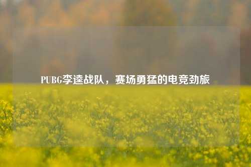 PUBG李逵战队，赛场勇猛的电竞劲旅