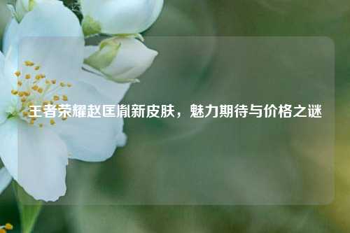 王者荣耀赵匡胤新皮肤，魅力期待与价格之谜
