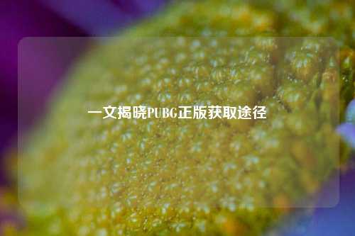 一文揭晓PUBG正版获取途径