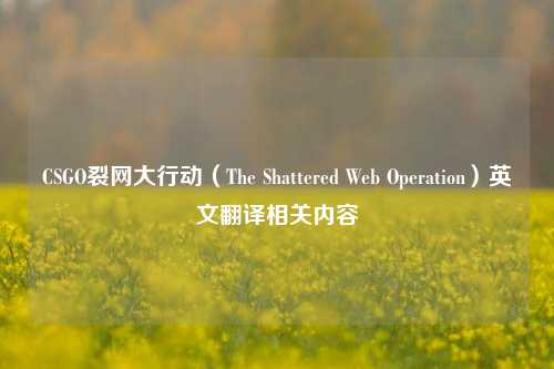 CSGO裂网大行动(The Shattered Web Operation)英文翻译相关内容
