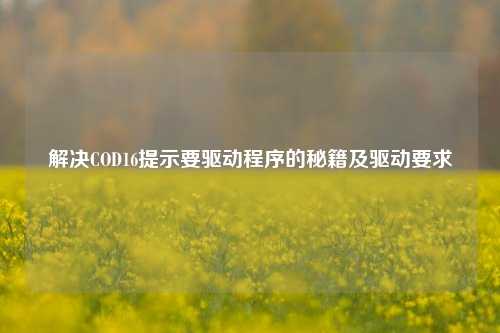 解决COD16提示要驱动程序的秘籍及驱动要求