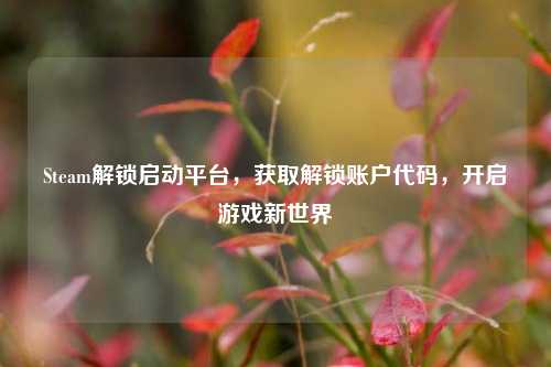 Steam解锁启动平台，获取解锁账户代码，开启游戏新世界