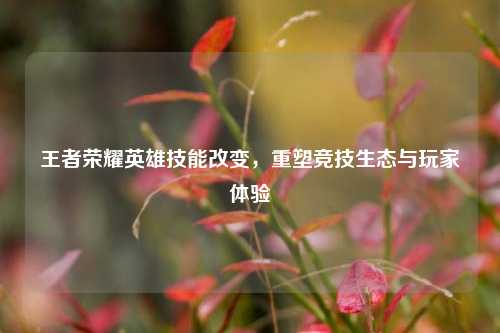 王者荣耀英雄技能改变,重塑竞技生态与玩家体验
