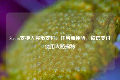 Steam支持人民币支付，开启新体验，微信支付使用攻略揭秘