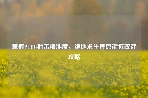 掌握PUBG射击精准度，绝地求生屏息键位改键攻略