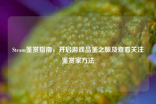 Steam鉴赏指南,开启游戏品鉴之旅及查看关注鉴赏家方法