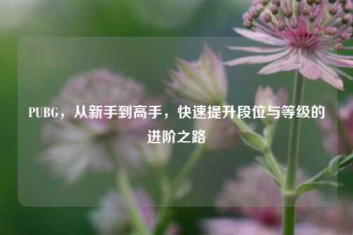 PUBG，从新手到高手，快速提升段位与等级的进阶之路