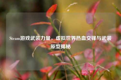 Steam游戏武装力量,虚拟世界热血交锋与武装原型揭秘