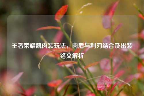 王者荣耀凯肉装玩法，肉盾与利刃结合及出装铭文解析
