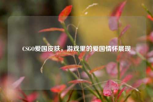 CSGO爱国皮肤，游戏里的爱国情怀展现