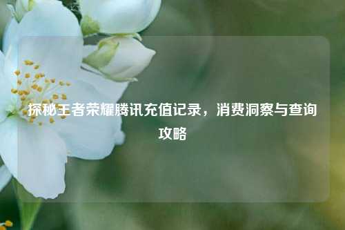 探秘王者荣耀腾讯充值记录，消费洞察与查询攻略