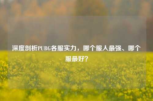 深度剖析PUBG各服实力,哪个服人最强、哪个服最好?