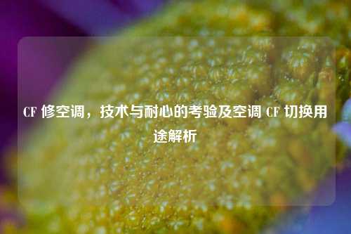 CF 修空调,技术与耐心的考验及空调 CF 切换用途解析